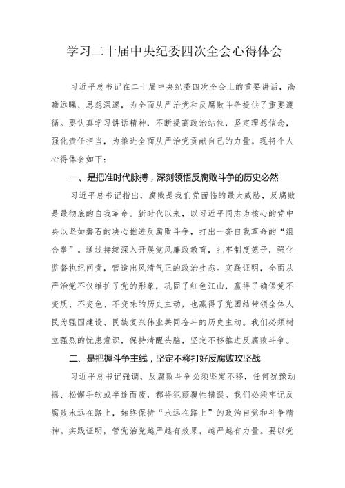 纪检干部学习二十中央纪委四次全会个人心得体会 合计17份.docx