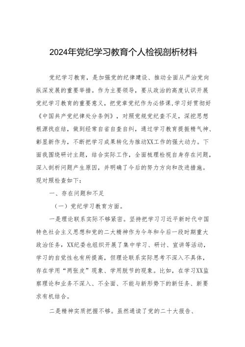 2024党纪学习教育专题民主生活会问题对照检查检视材料9篇.docx