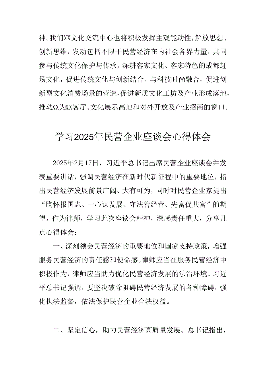 民营企业2025年学习《民营企业座谈会》个人心得感悟 （合计5份）(1).docx_第3页