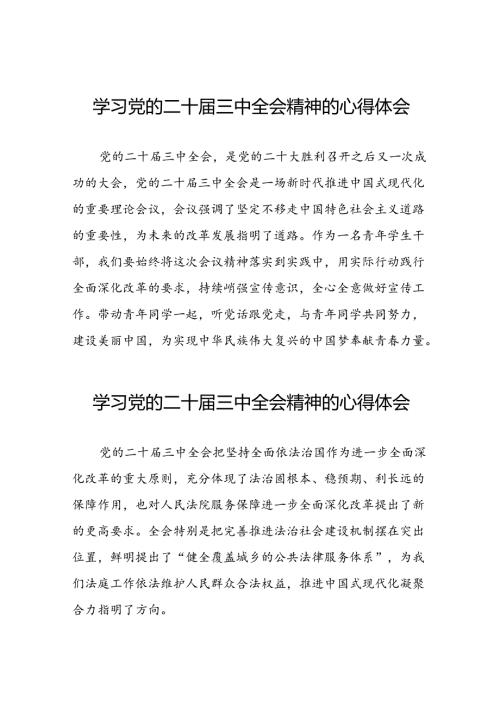 最新版2024年学习党的二十三中全会精神的心得体会简短发言58篇.docx