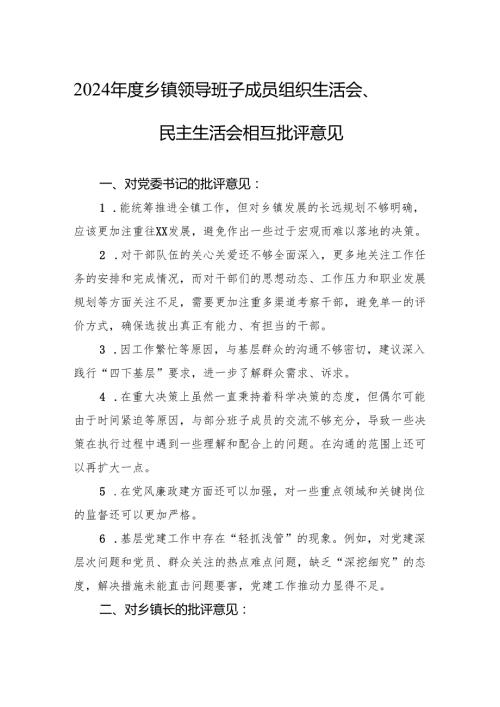 2024乡镇领导班子成员组织生活会、民主生活会的相互批评意见.docx