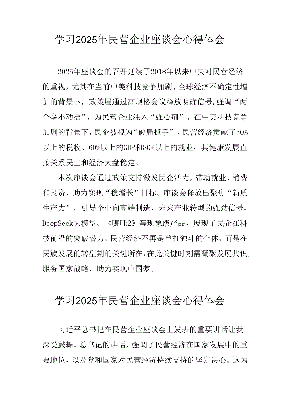 2025年私营企业学习民营企业座谈会个人心得体会 （合计6份）.docx_第2页