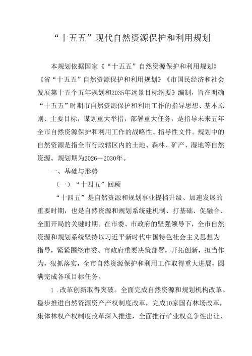 “十五五”现代自然资源保护和利用规划.docx