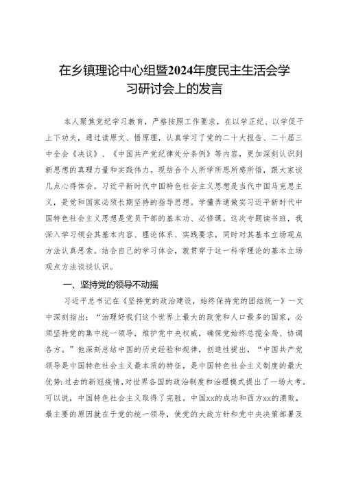 在乡镇理论中心组暨2024民主生活会学习研讨会上的发言.docx