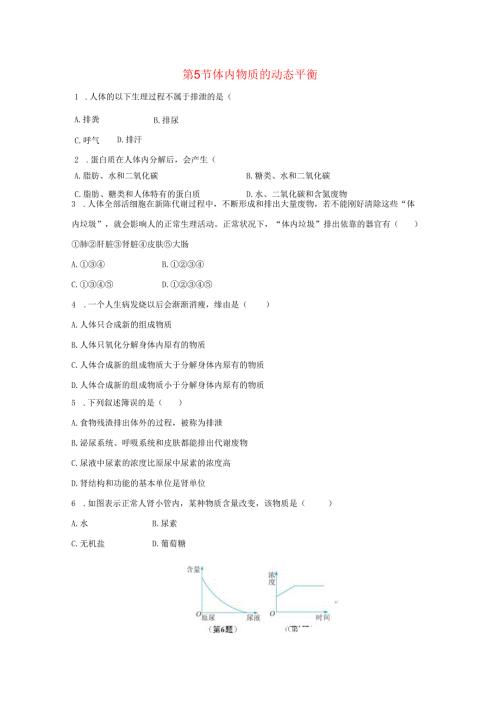 20242025九年级科学上册第4章代谢与平衡第5节体内物质的动态平衡作业设计新版浙教版.docx