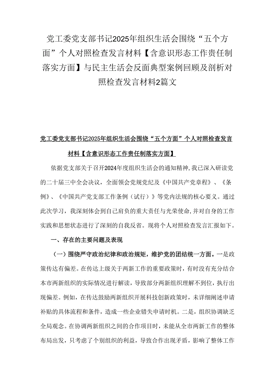党工委党支部书记2025年组织生活会围绕“五个方面”个人对照检查发言材料【含意识形态工作贵任制落实方面】与民主生活会反面典型案例回顾.docx_第1页