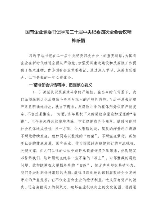2025年2月国有企业党委书记学习二十中央纪委四次全会会议精神心得感悟.docx