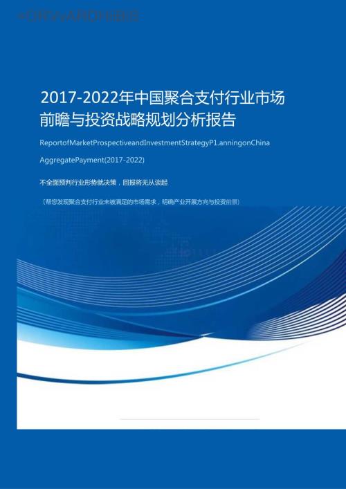 聚合支付行业投资分析报告目录.docx