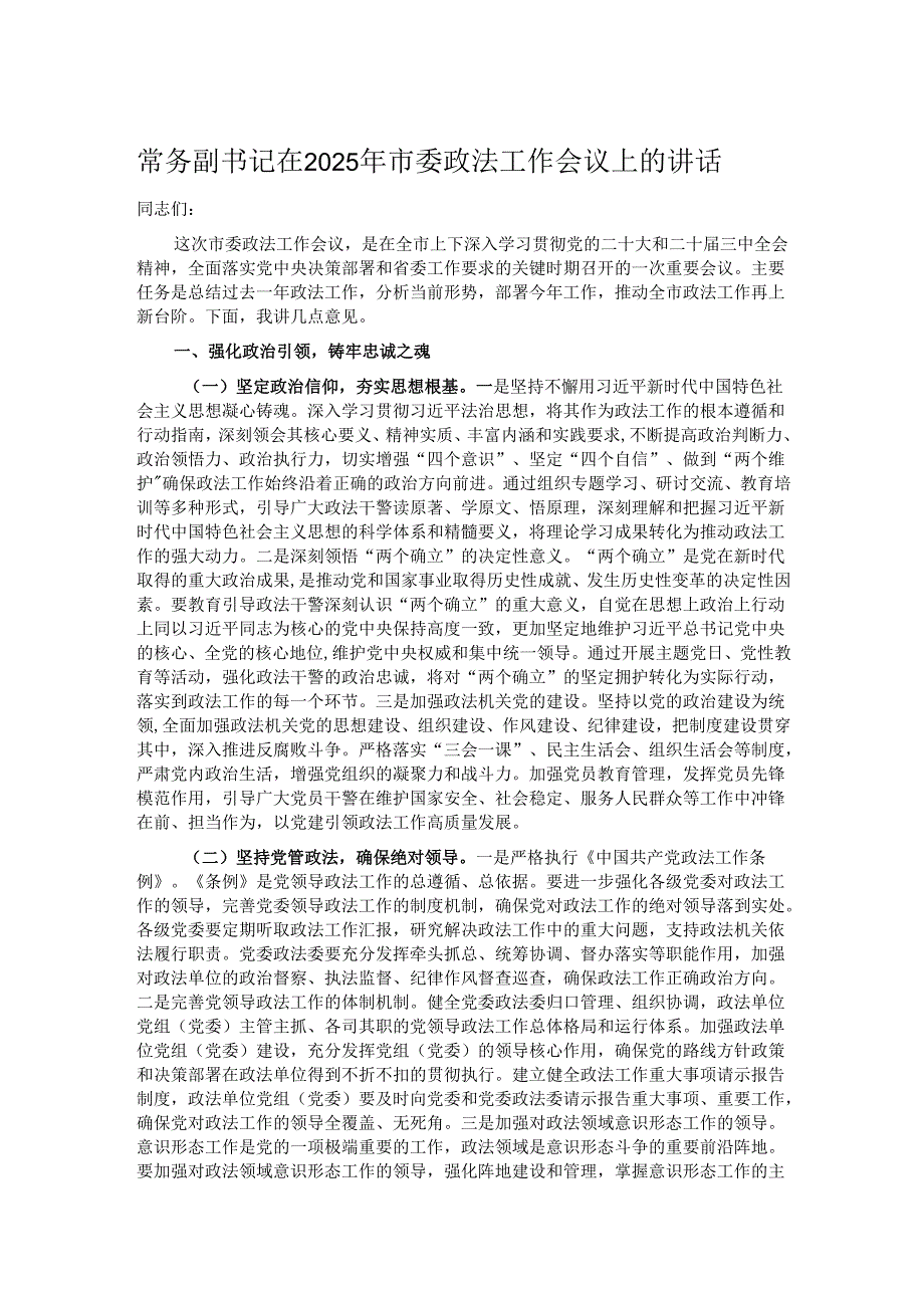 常务副书记在2025年市委政法工作会议上的讲话.docx_第1页