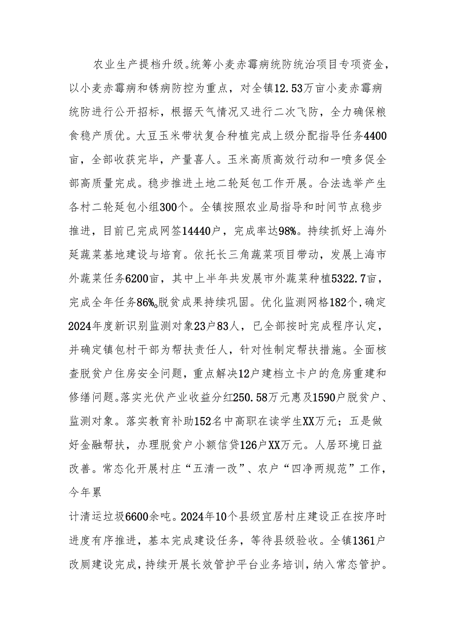 XX县XX镇2024国民经济和社会发展情况及下一步工作计划.docx_第2页