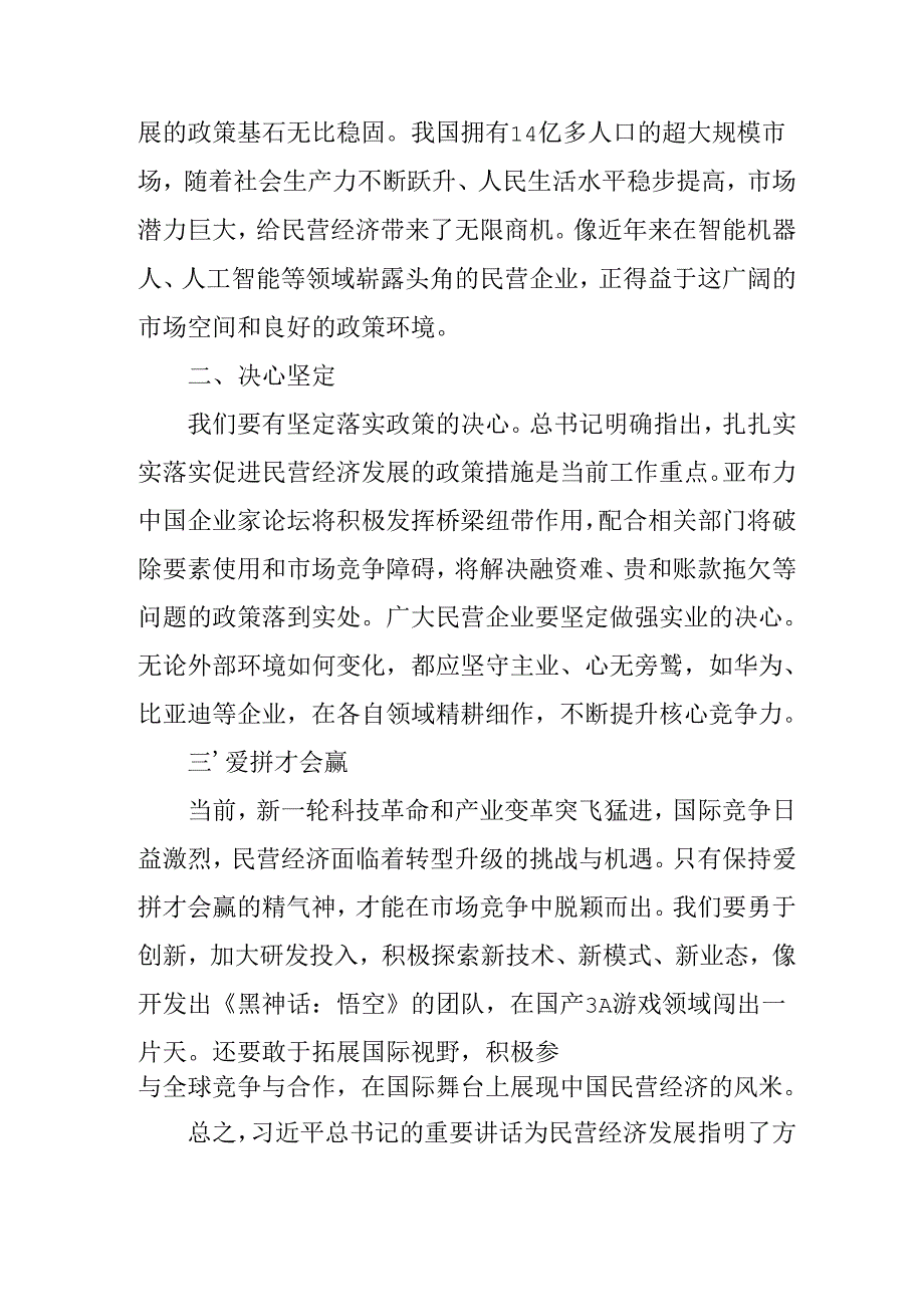 民营企业2025年学习《民营企业座谈会》个人心得感悟 （5份）55(1).docx_第3页