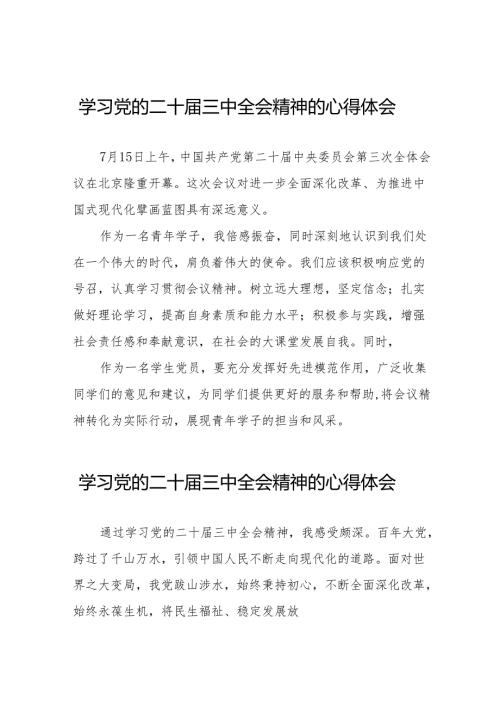 关于2024年党的二十三中全会精神的心得感悟32篇.docx