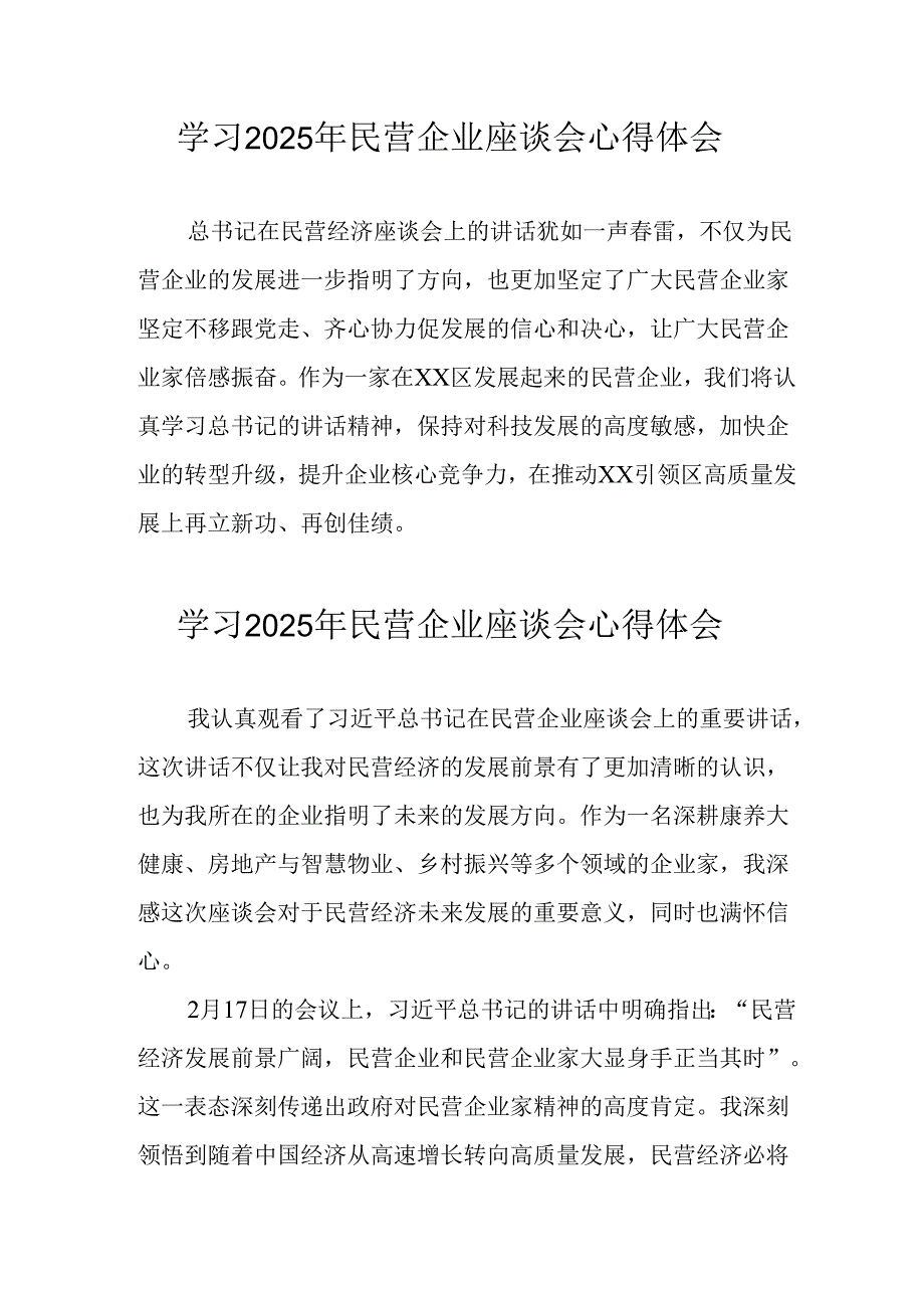 2025年私营企业学习民营企业座谈会个人心得感悟(2).docx_第1页