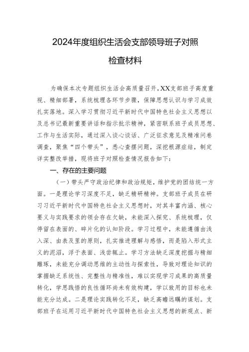 2024组织生活会支部领导班子对照检查材料.docx