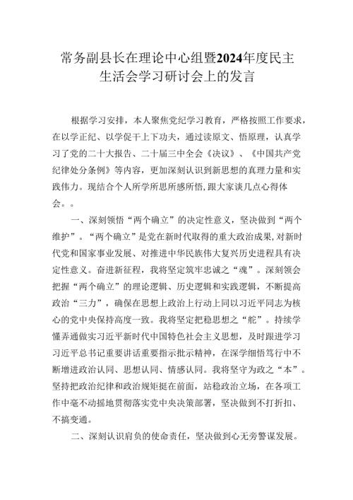常务副县长在理论中心组暨2024民主生活会学习研讨会上的发言材料.docx