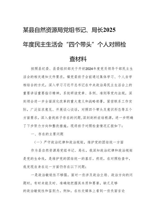 某县自然资源局党组书记、局长2025民主生活会“四个带头”个人对照检查材料.docx