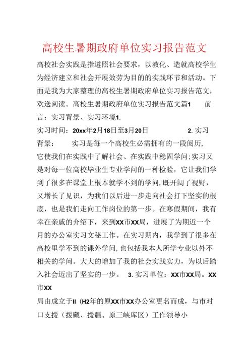 大学生暑期政府单位实习报告范文.docx