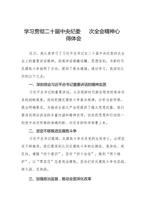 纪检干部关于学习贯彻中央纪委二十四次全会重要精神的心得体会十五篇.docx