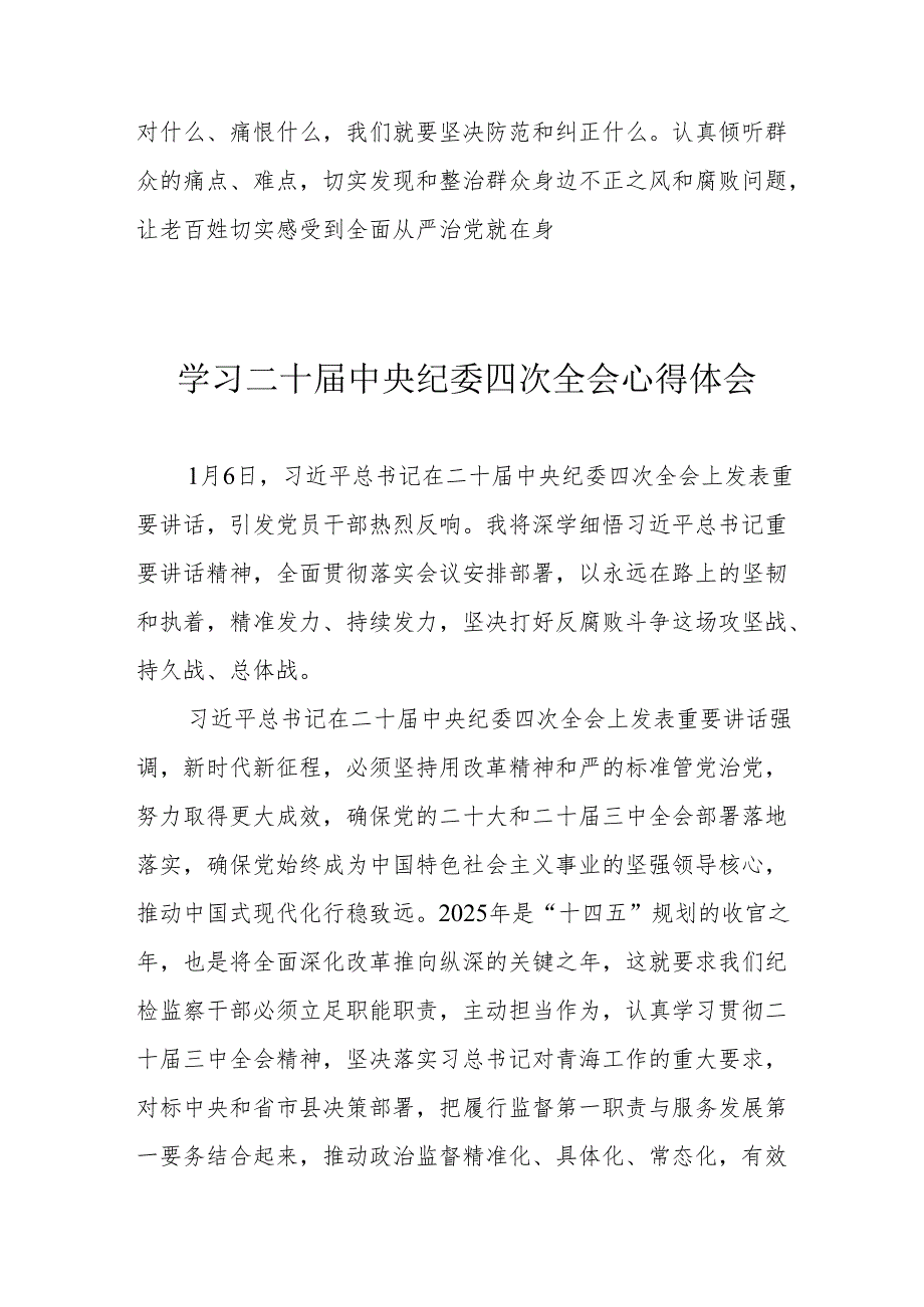 学习二十中央纪委四次全会心得体会 （15份）.docx_第3页