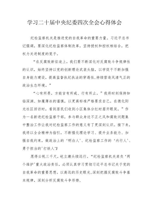 学习二十中央纪委四次全会心得体会 （15份）.docx