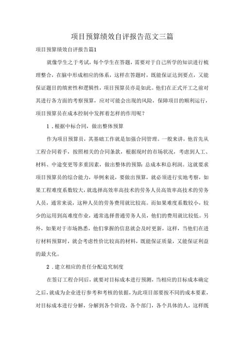 项目预算绩效自评报告范文三篇.docx