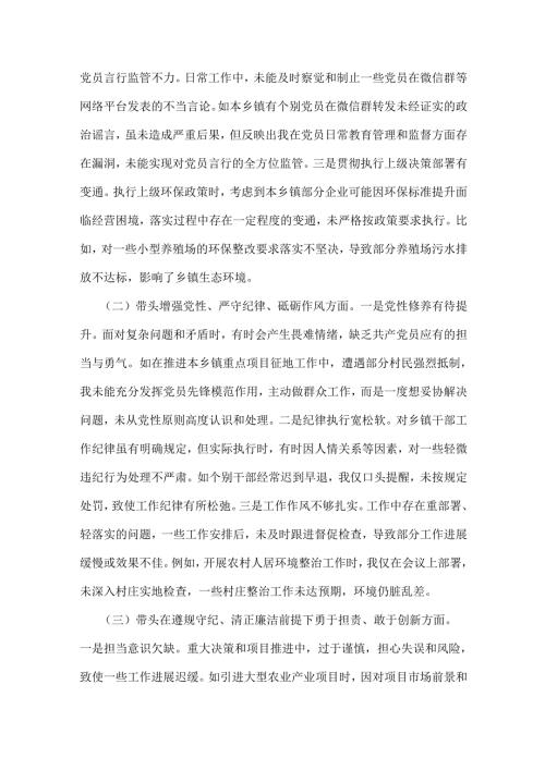 乡镇党支部书记2025年组织生活会“四个带头”对照检查材料与市委组织部常务副部长对照个人检视剖析材料【含：典型案例剖析】2篇文.docx