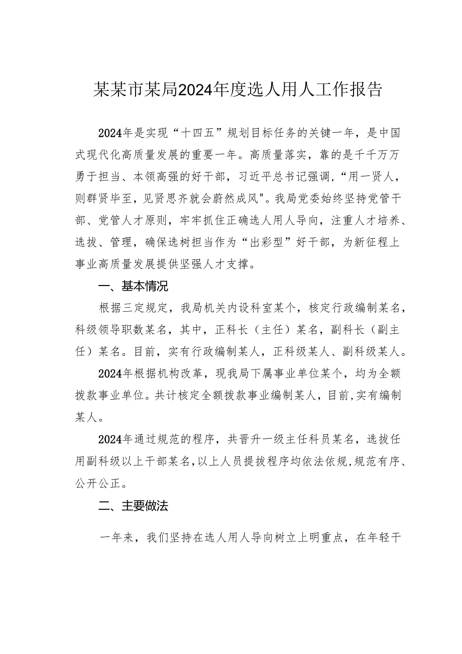 某某市某局2024选人用人工作报告.docx_第1页