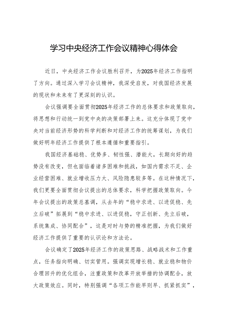 五篇学习贯彻2024年中央经济工作会议心得体会发言稿.docx_第1页