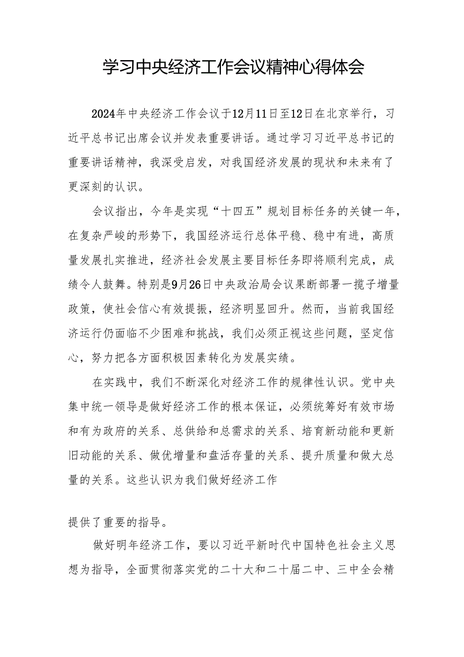 五篇学习贯彻2024年中央经济工作会议心得体会发言稿.docx_第3页
