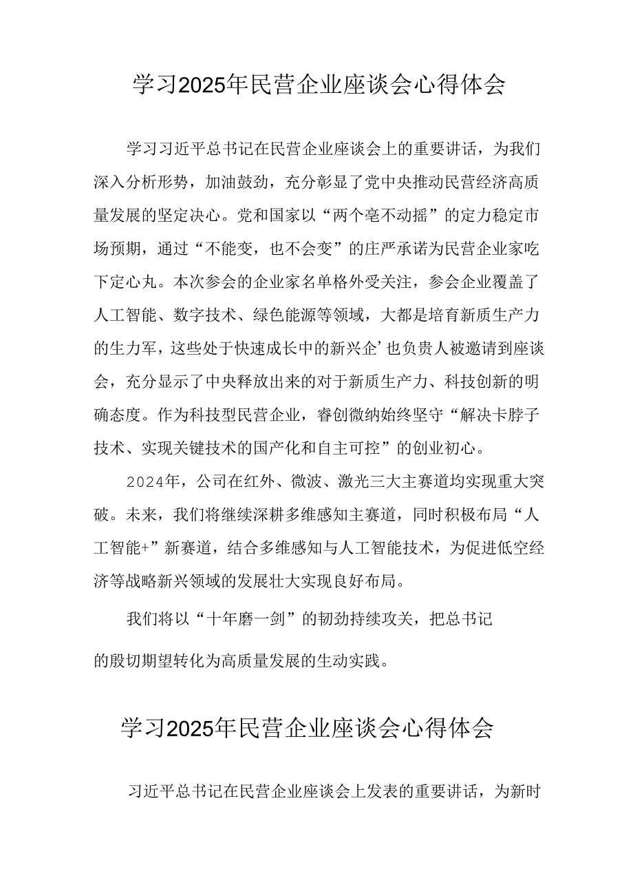民营企业2025年学习《民营企业座谈会》个人心得感悟 （5份）68(1).docx_第2页