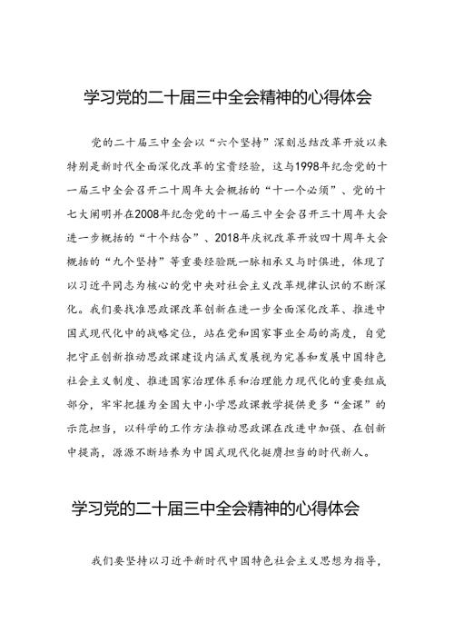 党的二十三中全会精神学习心得体会汇编二十六篇.docx