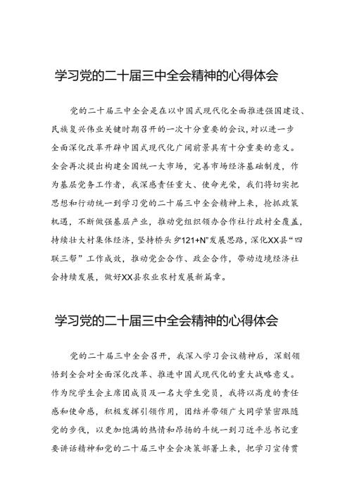 党的二十三中全会精神的学习感悟发言二十六篇.docx