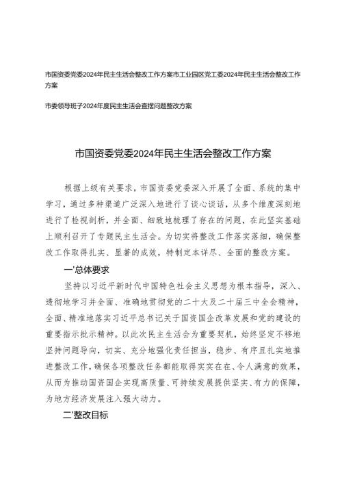 2025年市委领导班子2024民主生活会查摆问题整改方案+2024年民主生活会整改工作方案.docx