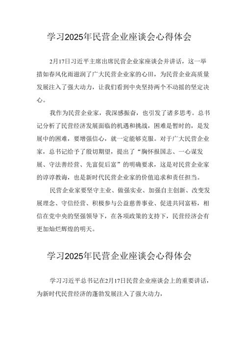 民营企业2025年学习民营企业座谈会个人心得感悟 合计12份.docx