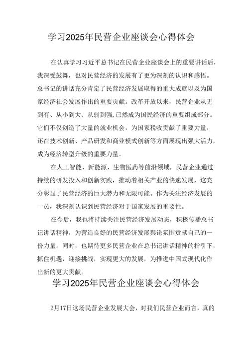 民营企业2025年学习《民营企业座谈会》个人心得感悟 （5份）99.docx
