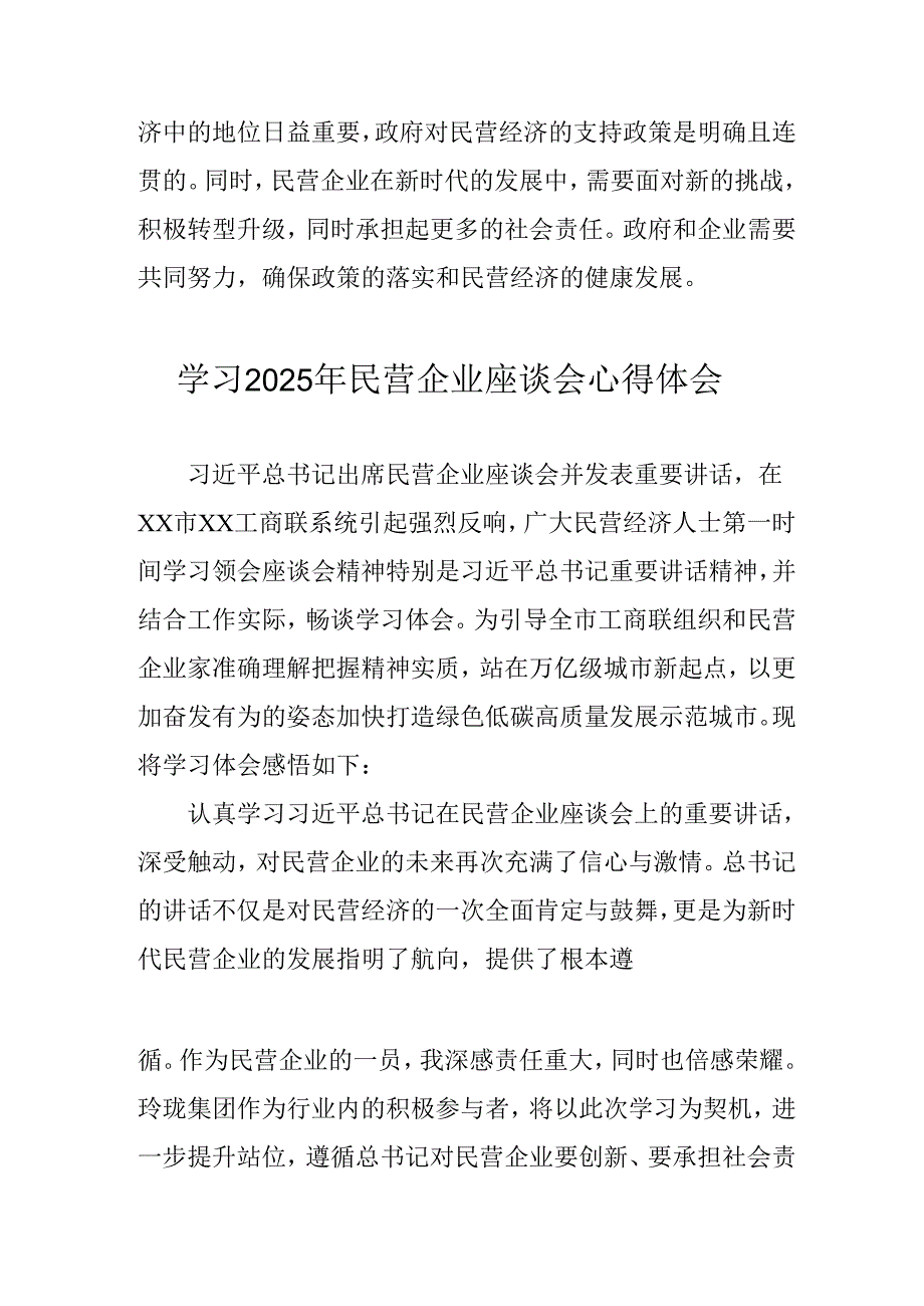 2025年私营企业学习《民营企业座谈会》个人心得体会 合计8份.docx_第3页