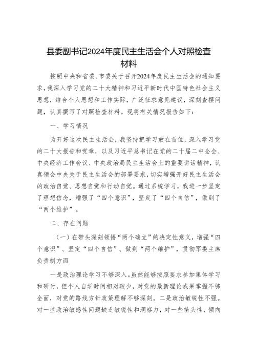 2025民主生活会对照检查材料精选两篇合辑（副书记）.docx