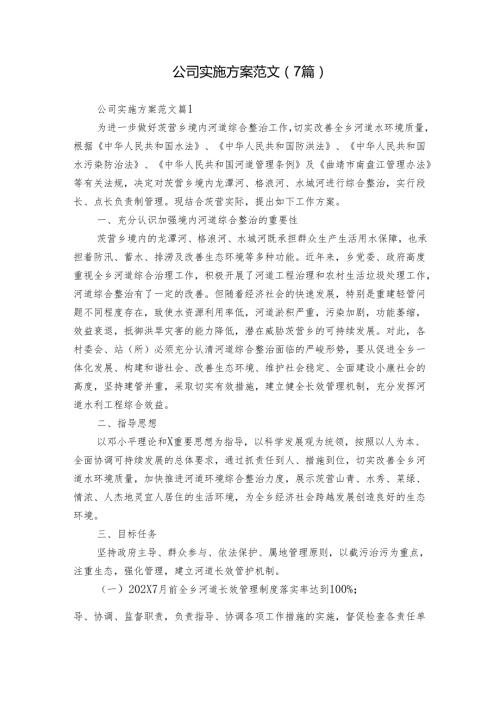 公司实施方案范文（7篇）.docx