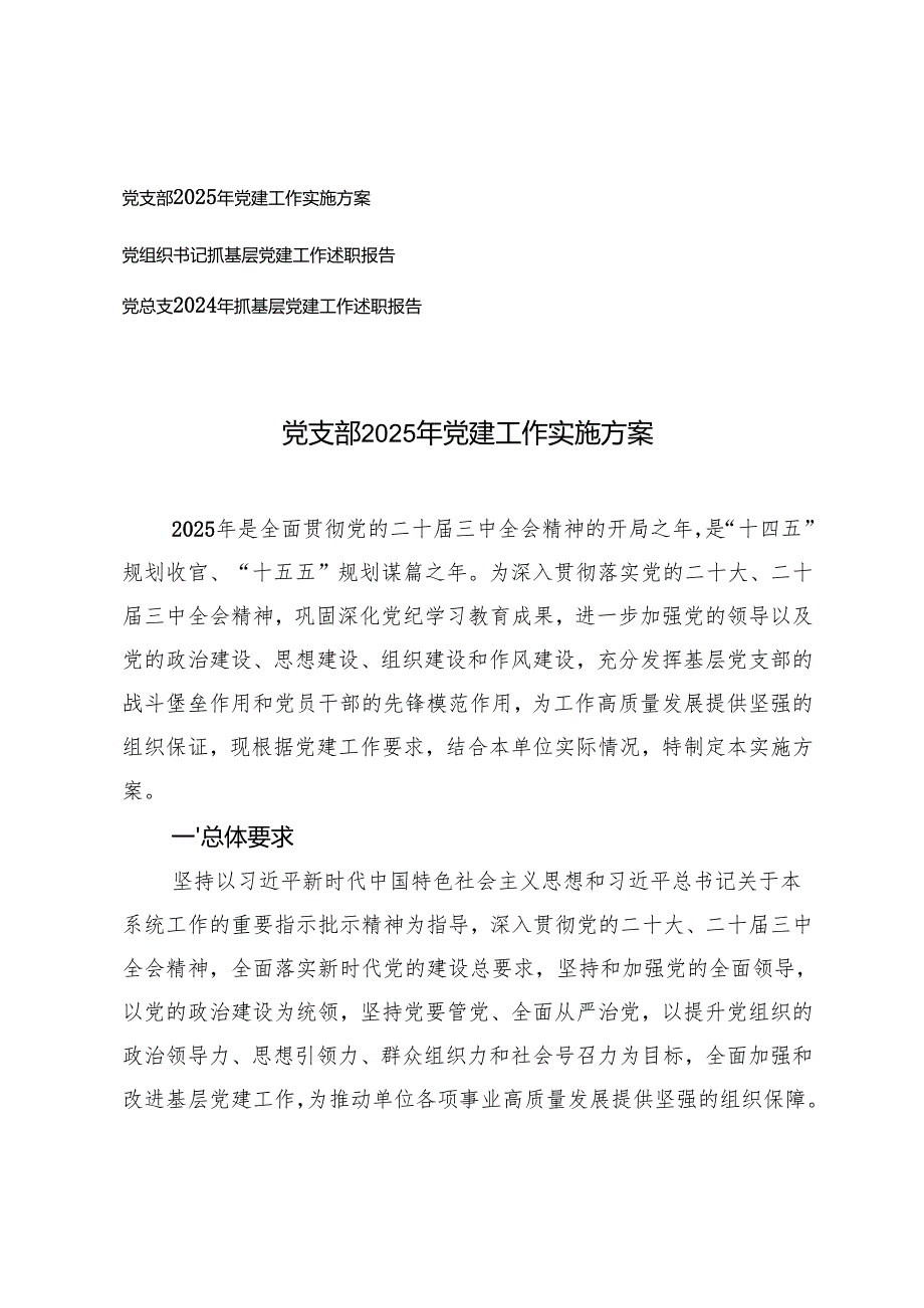 党支部2025年党建工作实施方案+党组织书记抓基层党建工作述职报告.docx_第1页