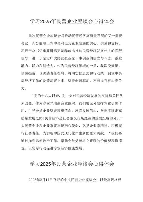 民营企业2025年学习《民营企业座谈会》个人心得感悟 （6份）79.docx