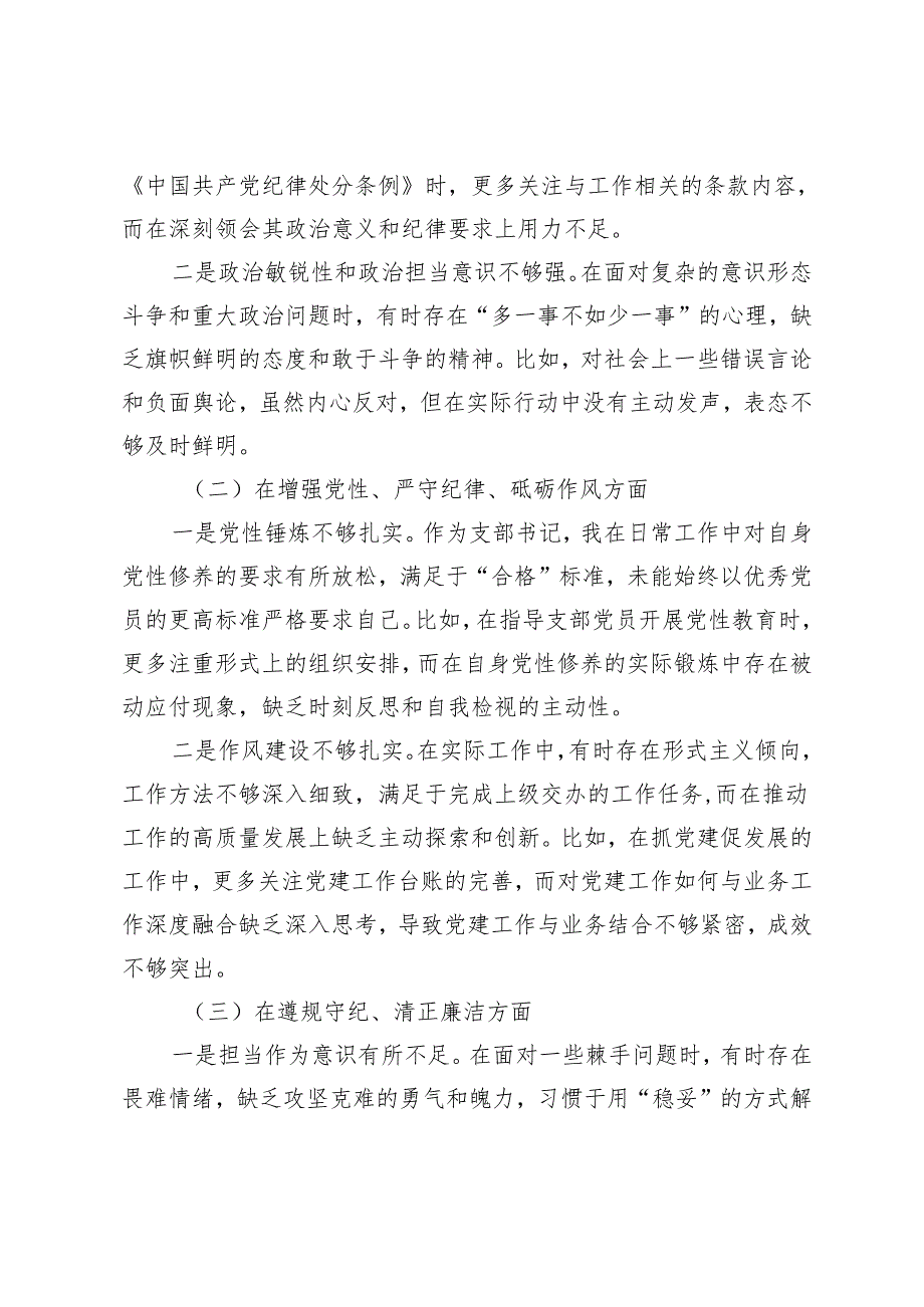 支部书记个人20242025专题组织生活会对照检查材料（四个带头问题含示例+原因+举措）.docx_第2页