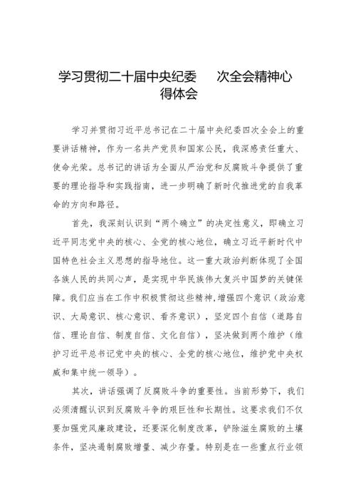 纪检干部学习贯彻二十中央纪委四次全会精神的心得体会十三篇.docx
