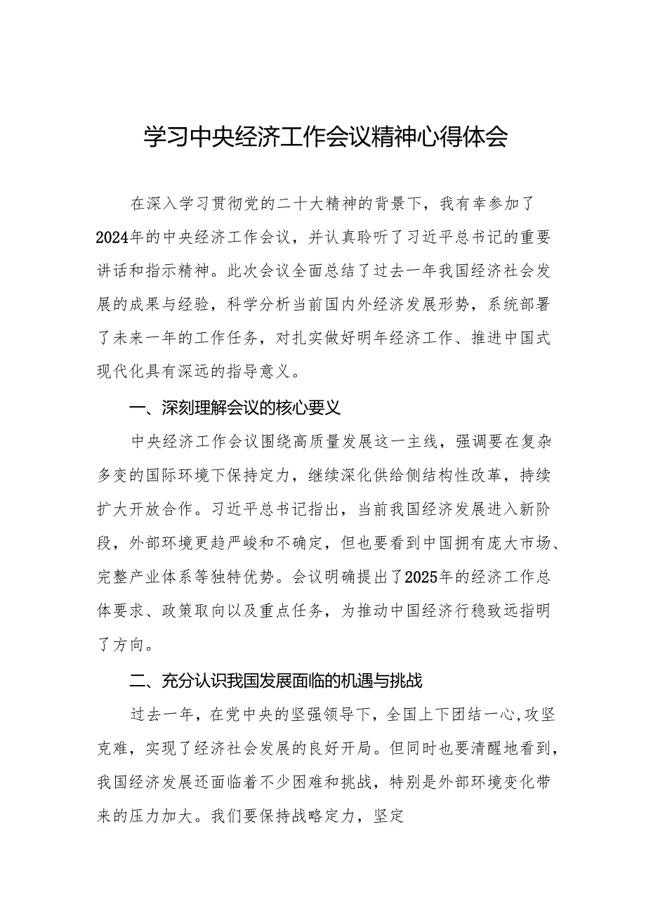 2024年中央经济工作会议精神学习体会交流发言材料两篇.docx_第1页