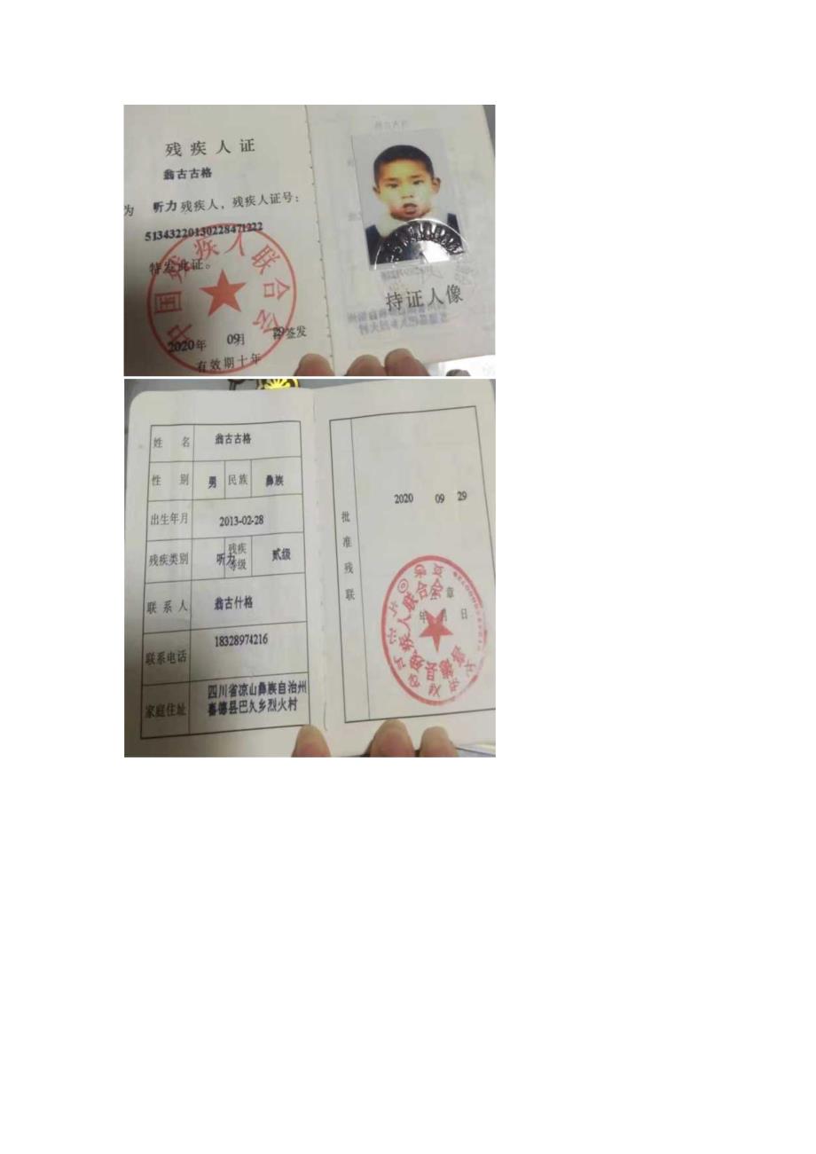 喜德县民族小学各年级残疾随班就读学生名册.docx_第3页