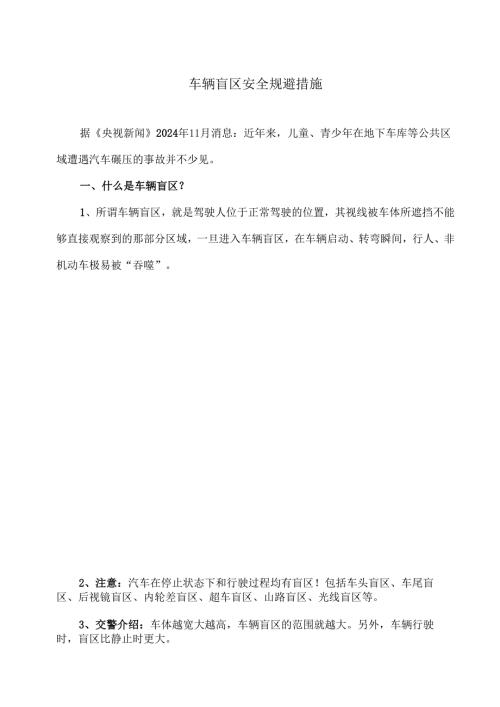 车辆盲区安全规避措施（2024年）.docx