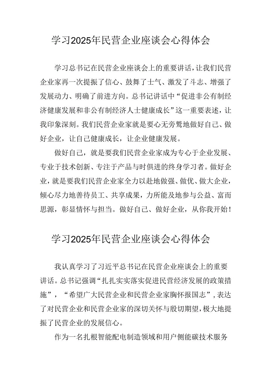 2025年私营企业学习民营企业座谈会个人心得体会 （汇编6份）.docx_第1页