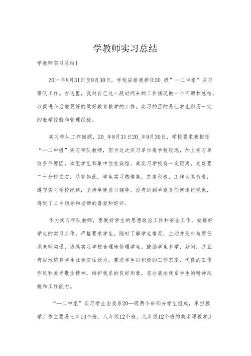 学教师实习总结.docx