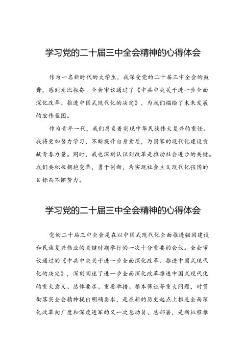 学习贯彻2024年二十三中全会精神心得感悟合集二十七篇.docx