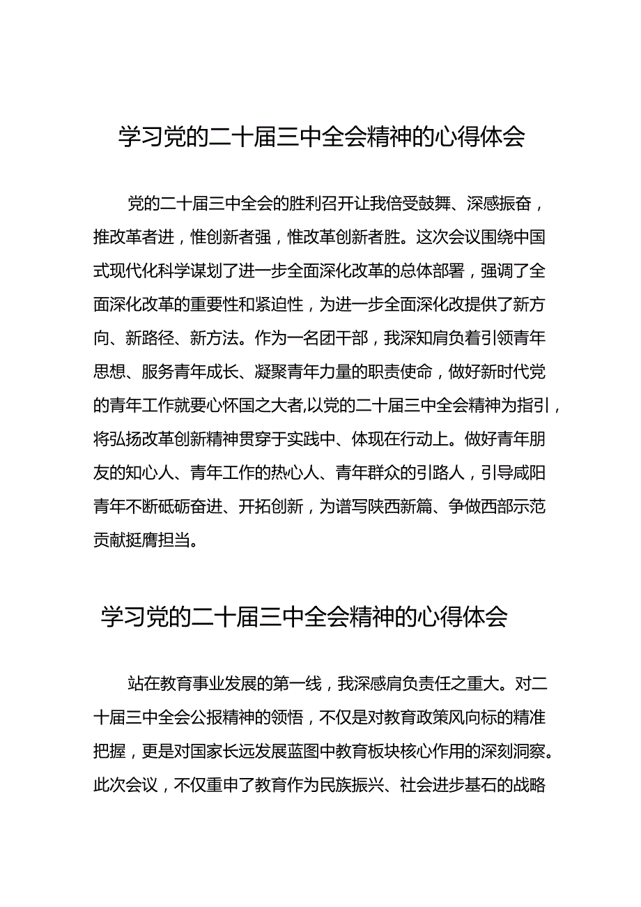 最新版学习贯彻2024年二十三中全会精神心得感悟58篇.docx_第1页