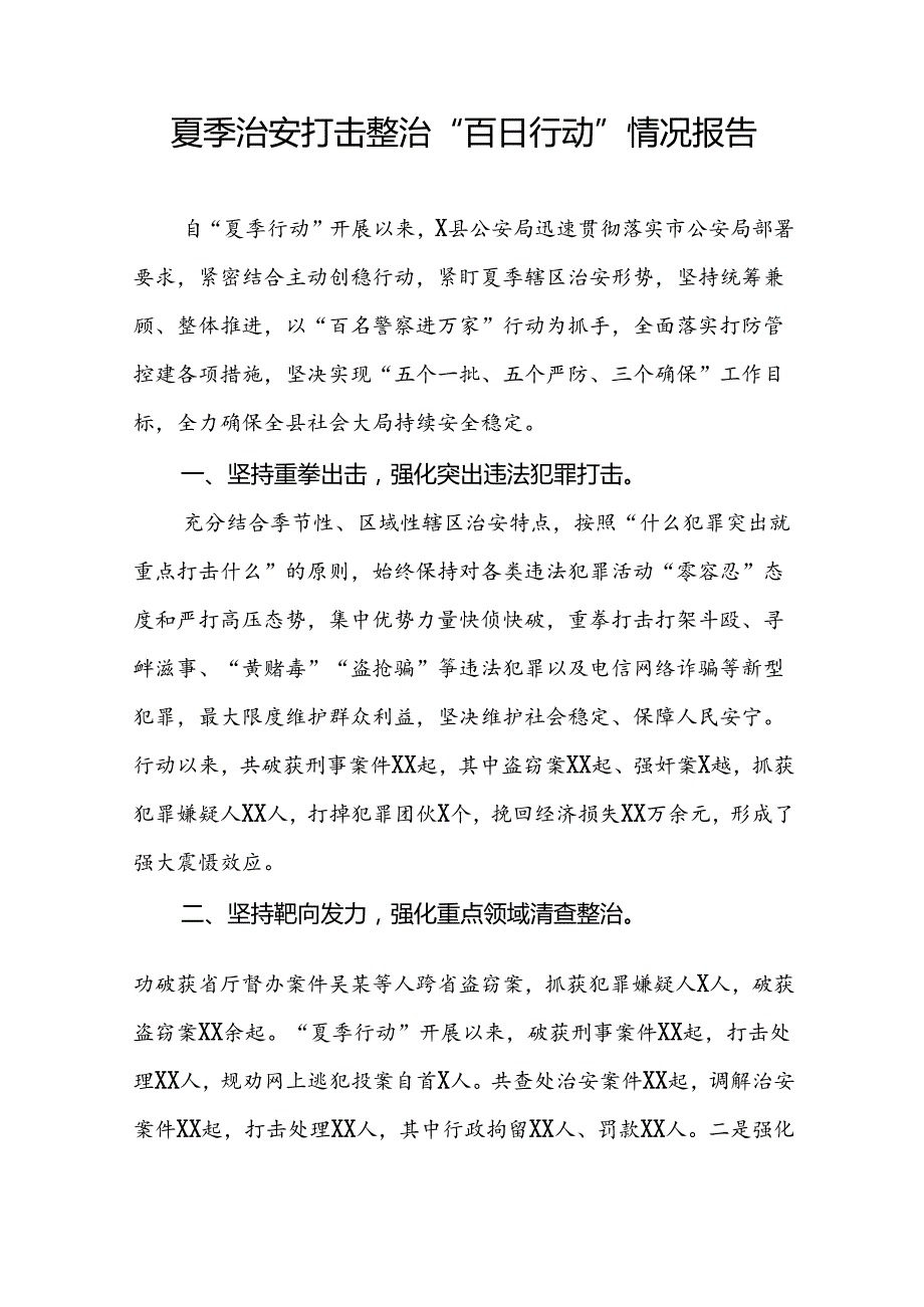 公安夏季治安打击整治“百日行动”工作总结(13篇).docx_第3页
